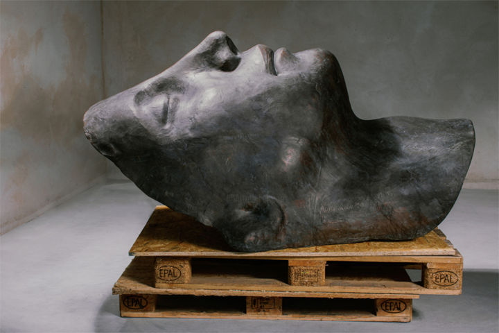 Sculpture titled "The Head of Young A…" by Marcin Otapowicz, Original Art, Bronze