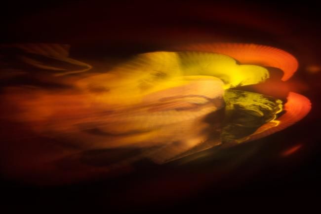 Digital Arts titled "Abstract 0004" by Marcin Prasal, Original Art,