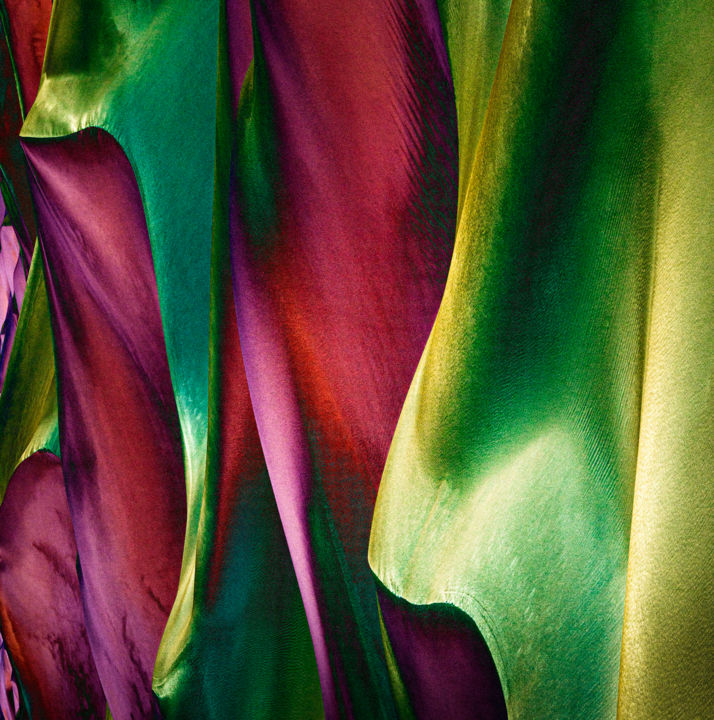 Photography titled "Scent of the Jungle" by Marek Boguszak, Original Art, Digital Photography Mounted on Other rigid panel