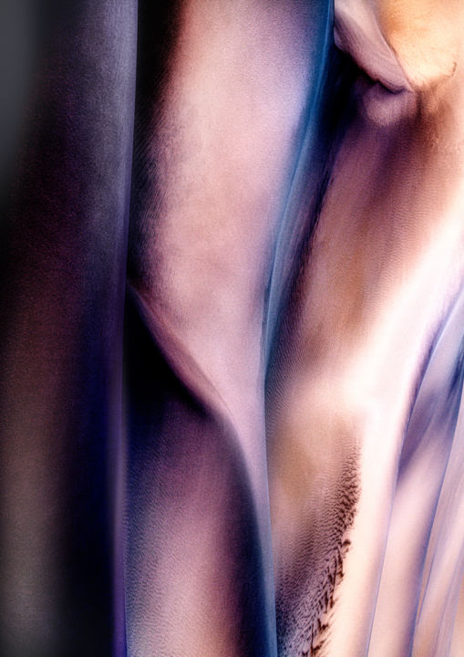 Photography titled "Sunset Lily" by Marek Boguszak, Original Art, Digital Photography Mounted on Plexiglass