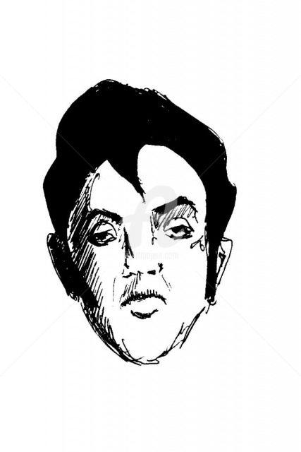 Drawing titled "elvis.jpg" by Marek Kolanus, Original Artwork, Ballpoint pen