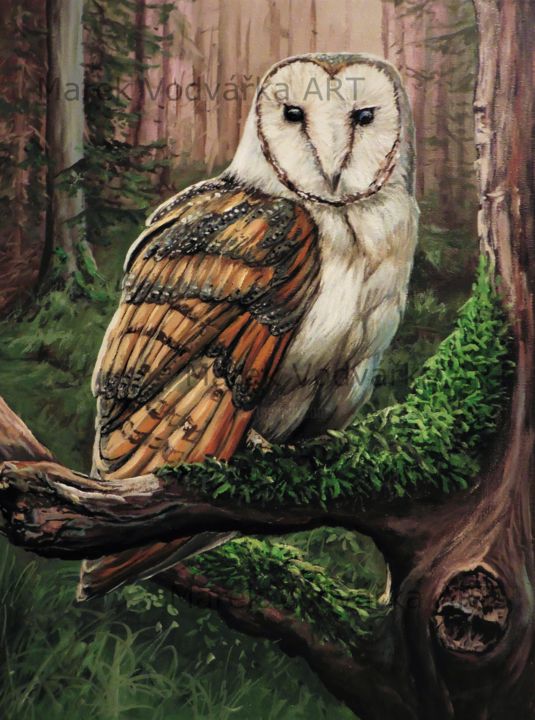 Peinture intitulée "Barn Owl" par Marek Vodvářka, Œuvre d'art originale, Huile