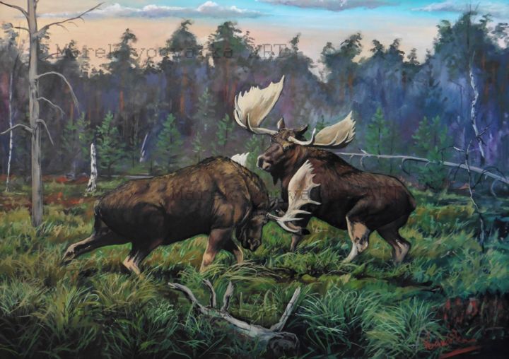 Painting titled "Moose duel" by Marek Vodvářka, Original Artwork, Oil