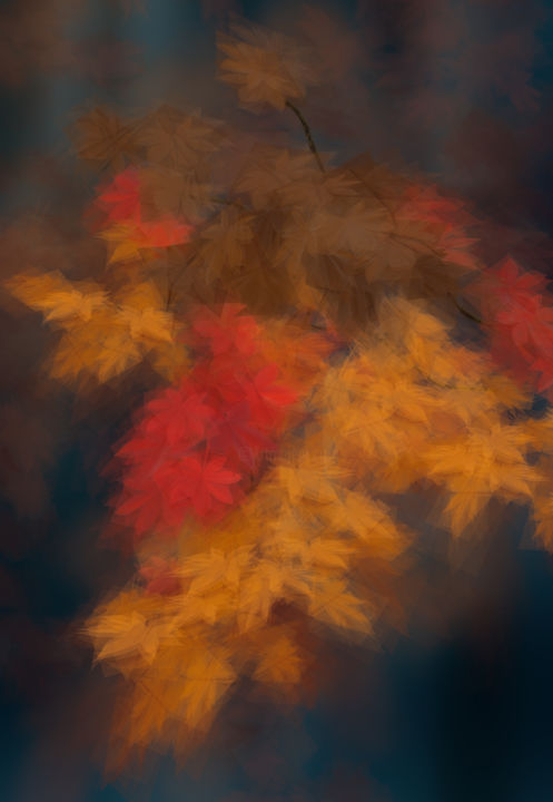 Photography titled "Herbst In Simulacru…" by Margarete Schrüfer, Original Artwork, Digital Photography