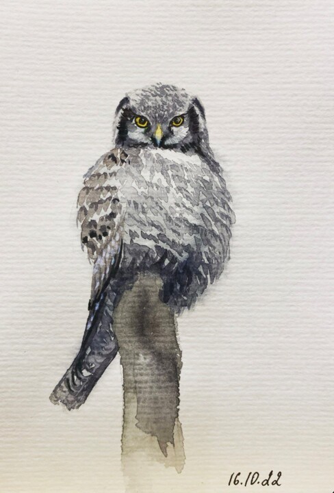 Картина под названием "The hawk-owl" - Margarita Gladilina, Подлинное произведение искусства, Акварель
