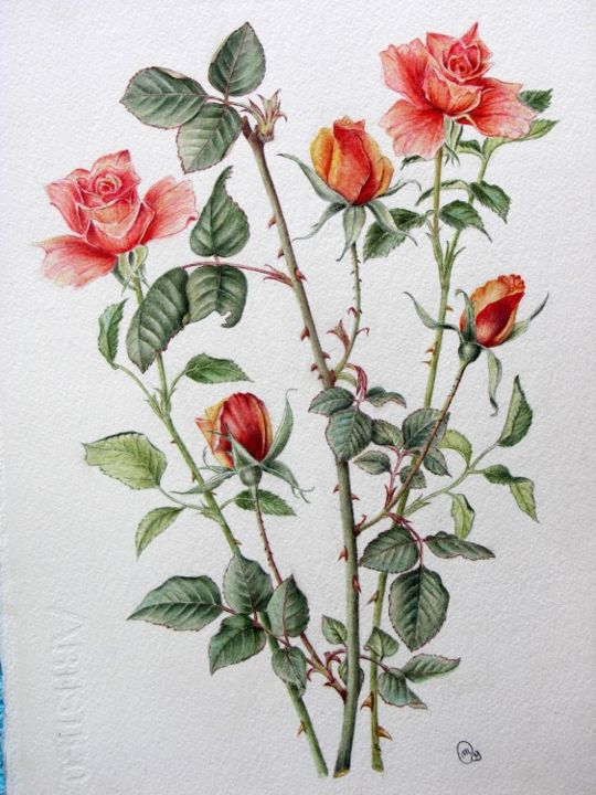 Pittura intitolato "ROSE" da Margherita Cavassa, Opera d'arte originale, Olio