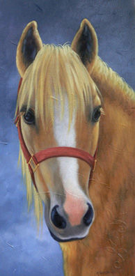 "Le beau blond" - Painting, 10x20 in ©2009 by Marguerite Vanasse -
Realism, Cheval, animal, tête de cheval