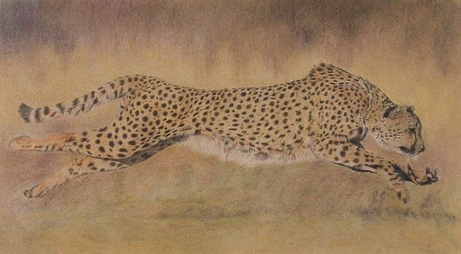 Drawing titled "See Spot Run" by Margy Riley, Original Artwork
