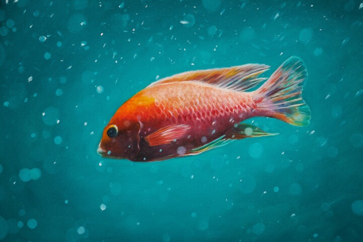 Картина под названием "A small fish in a b…" - Maria Alabuzhina (mari_ginger), Подлинное произведение искусства, Масло Устан…