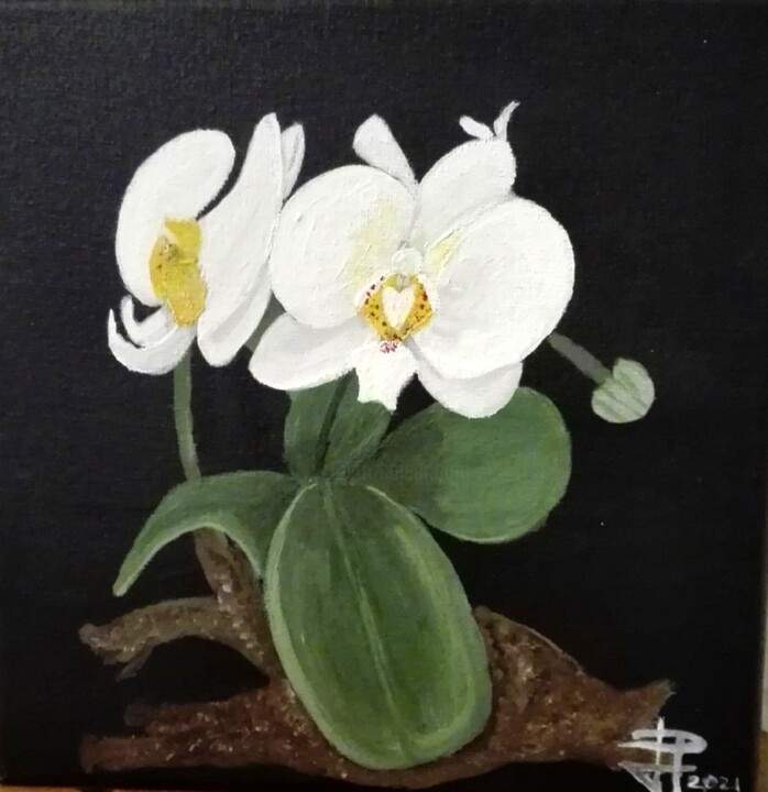 Pintura titulada "Orquideas" por María Dolores Parada Cordal, Obra de arte original, Acrílico Montado en Panel de madera