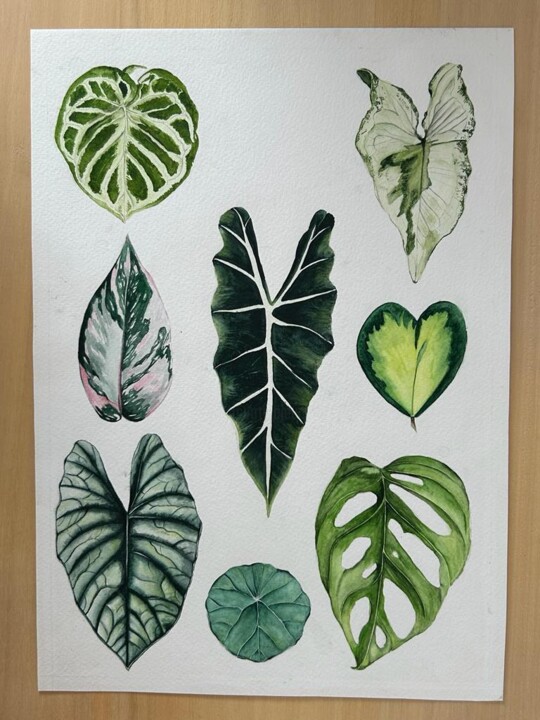 제목이 "Green collection"인 미술작품 María Emilia Villegas로, 원작, 수채화