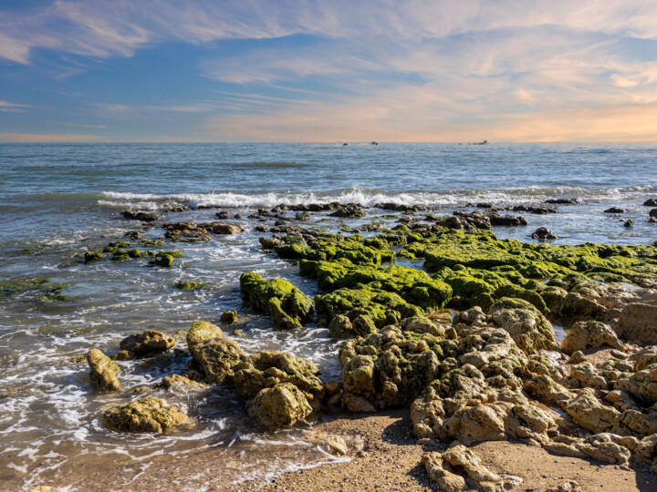 Fotografia zatytułowany „playa” autorstwa Maria Isabel Gaytan, Oryginalna praca, Fotografia cyfrowa