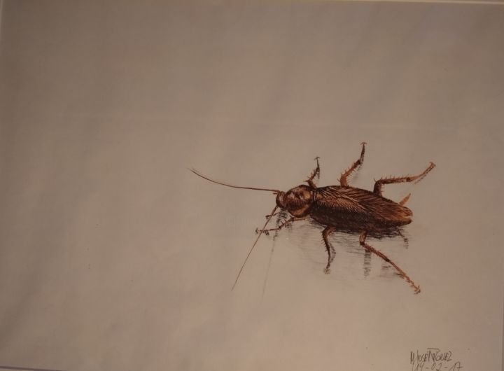 Картина под названием "Cucaracha" - María José Ñíguez, Подлинное произведение искусства, Маркер