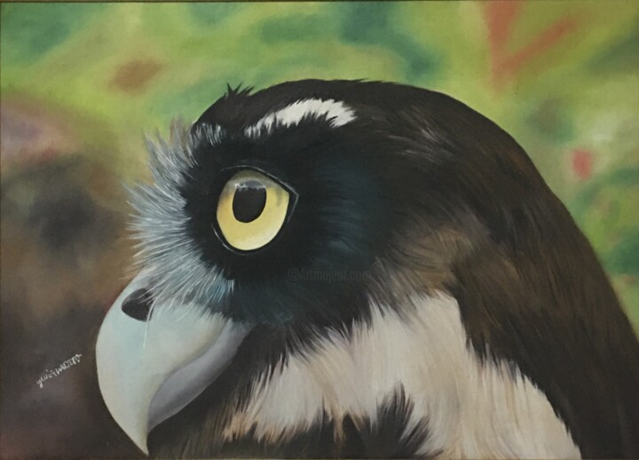 Pintura intitulada "Murucututu coruja t…" por Maria Julia Walter, Obras de arte originais, Óleo
