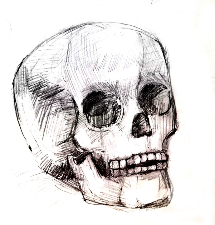 Pintura titulada "Human skull black a…" por Maria Terskikh, Obra de arte original, Lápiz