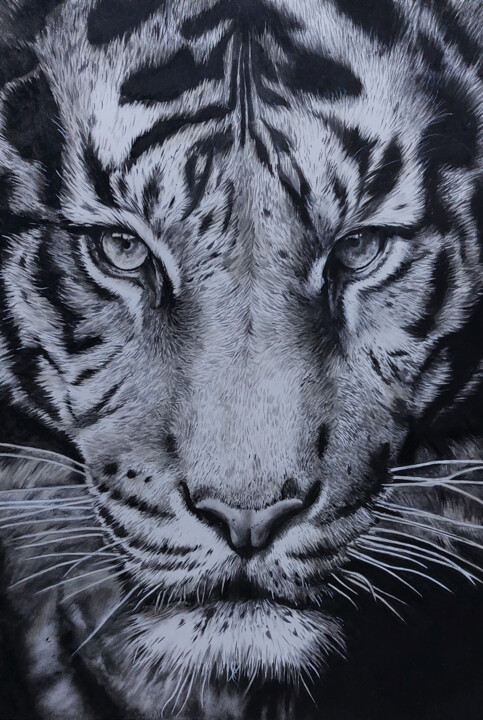 "Tiger, pencil art" başlıklı Tablo Мария Власенко tarafından, Orijinal sanat, Kalem