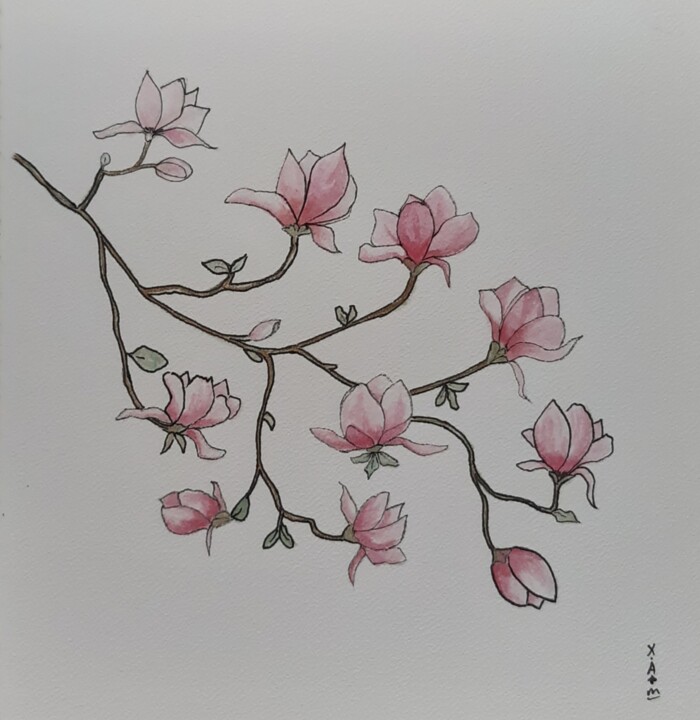 Peinture intitulée "Fleurs de magnolia" par Maria Xavier Alves (XAM), Œuvre d'art originale, Aquarelle