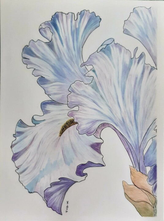 Peinture intitulée "Iris bleu" par Maria Xavier Alves (XAM), Œuvre d'art originale, Aquarelle