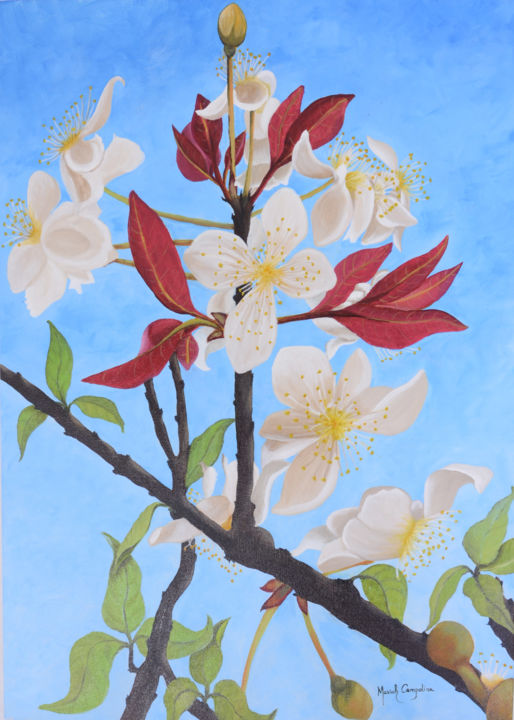 Pintura intitulada "Flor da Cagaita" por Mariah Campolina, Obras de arte originais, Acrílico