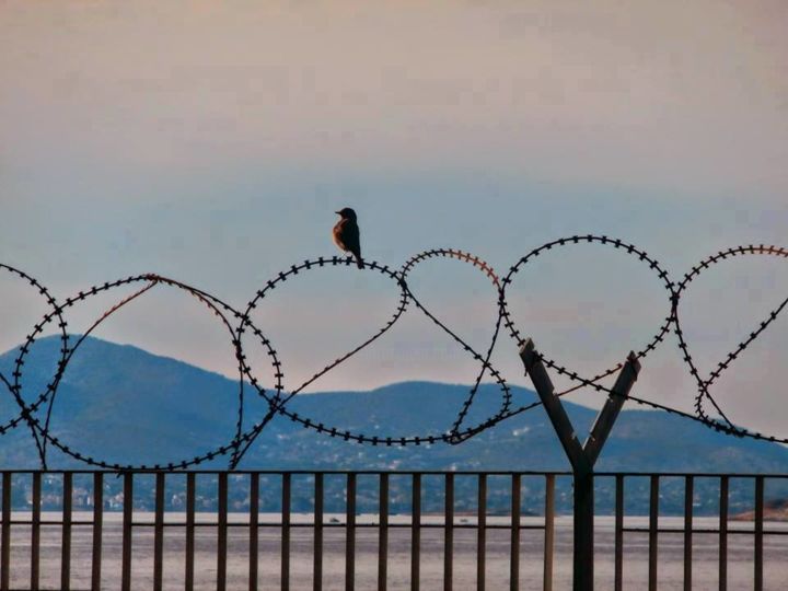 Photography titled "Freedom" by Athenslight, Original Artwork