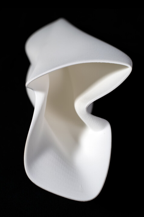 Sculpture titled "Bending Beauty" by Maria Lorena Lehman, Original Artwork, Plastic