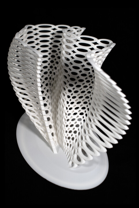 Sculpture titled "Growth Rings" by Maria Lorena Lehman, Original Artwork, Plastic