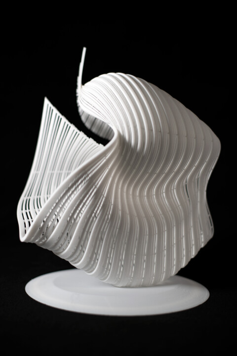 Sculpture titled "Edge of Infinity" by Maria Lorena Lehman, Original Artwork, Plastic