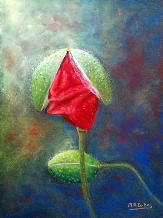 Schilderij getiteld "Coquelicot et son c…" door Marian Cobos, Origineel Kunstwerk, Pastel