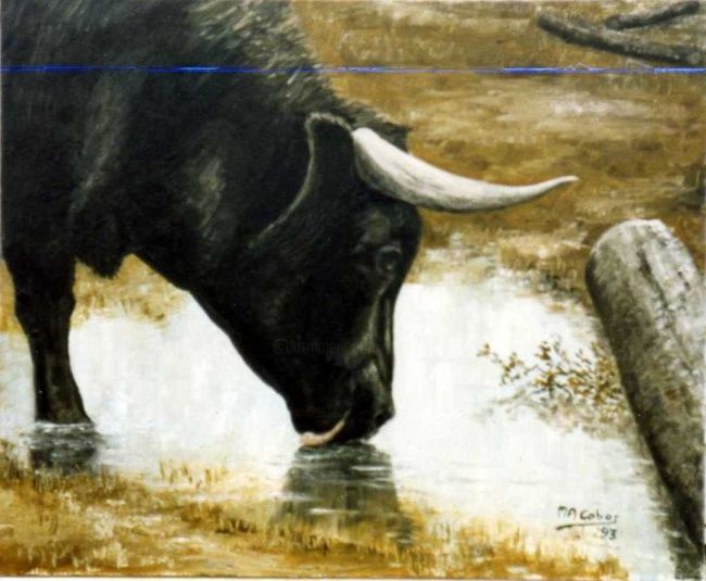 Peinture intitulée "taureau en liberté" par Marian Cobos, Œuvre d'art originale