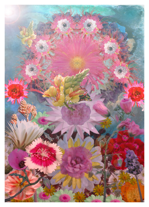Arte digital titulada "Flores y galaxias" por Mariano Amieva Ferreyra, Obra de arte original, Foto-montaje