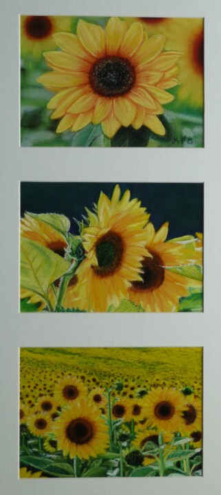 Zeichnungen mit dem Titel "Trio de tournesols" von Marie-Françoise Le Néen, Original-Kunstwerk, Pastell