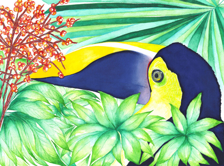 Painting titled "TOUCAN SWAINSON SOLO" by Marie-Lys Legris Medard, Original Artwork, Watercolor