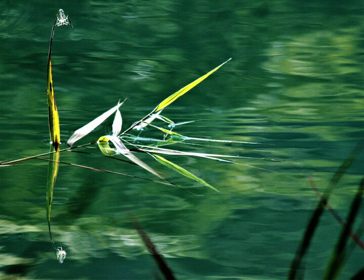Photography titled "Reflets sur le lac 1" by Marie Marlène Mahalatchimy, Original Artwork, Non Manipulated Photography