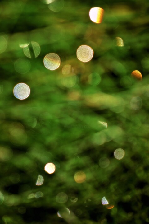 Photographie intitulée "Dans le vert" par Marie Marlène Mahalatchimy, Œuvre d'art originale, Photographie non manipulée