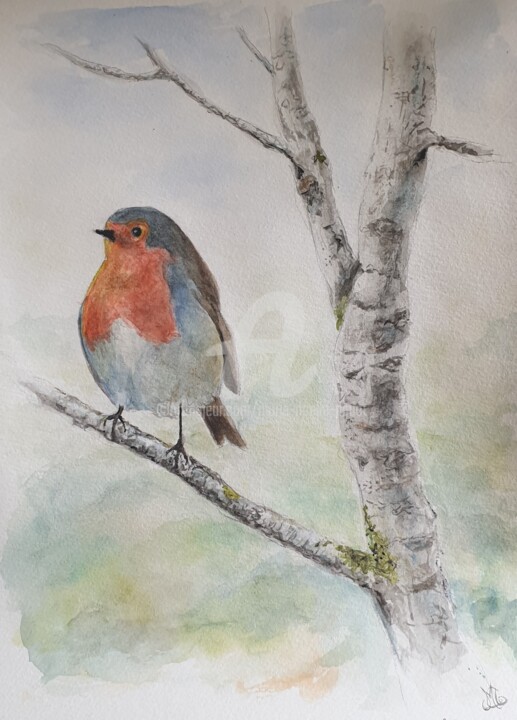 Pintura intitulada "Le Rouge Gorge de m…" por Marie-Noëlle Amiot, Obras de arte originais, Aquarela