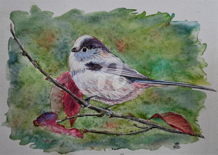 Painting titled "Mésange à longue qu…" by Marie-Noëlle Amiot, Original Artwork, Watercolor