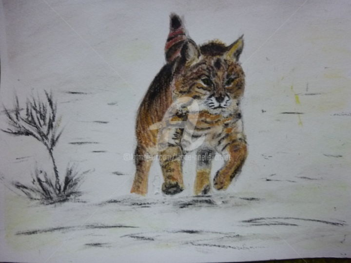 Painting titled "Le lynx.jpg" by Marie-Noëlle Amiot, Original Artwork