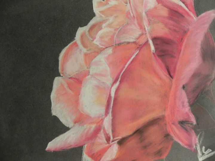 Rose Pastel Sec 24 30 Cm 2012 12jpg Dessin Par Marie Pierre