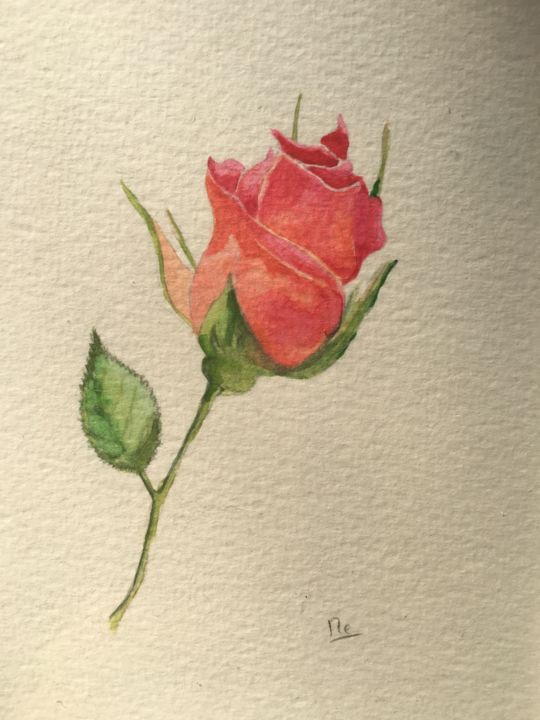 Bouton De Rose Peinture Par Marie Eve Platen Artmajeur