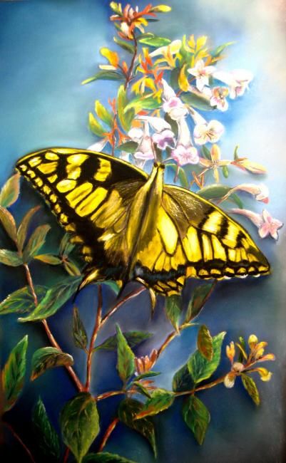 Painting titled "le papillon" by Marie Claude Ramain, Original Artwork