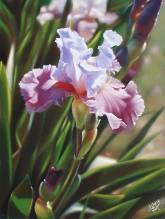 Painting titled ""Iris" floralies da…" by Marie-Hélène Yernaux, Original Artwork, Pastel