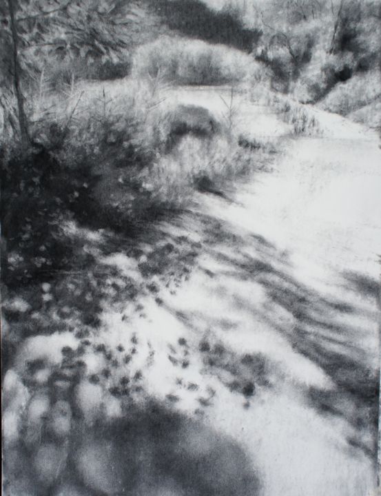 Drawing titled ""Jeu d'ombres sur l…" by Marie-Hélène Yernaux, Original Artwork, Charcoal