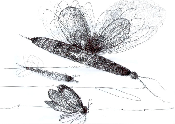Dessin intitulée "Insectes" par Mariem Zahra Chaouch, Œuvre d'art originale, Stylo à bille Monté sur Autre panneau rigide