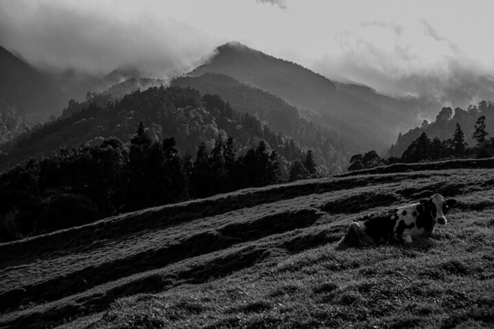 Photographie intitulée "THE AZORES #5 (SERI…" par Mariia Kulchytska, Œuvre d'art originale, Photographie numérique