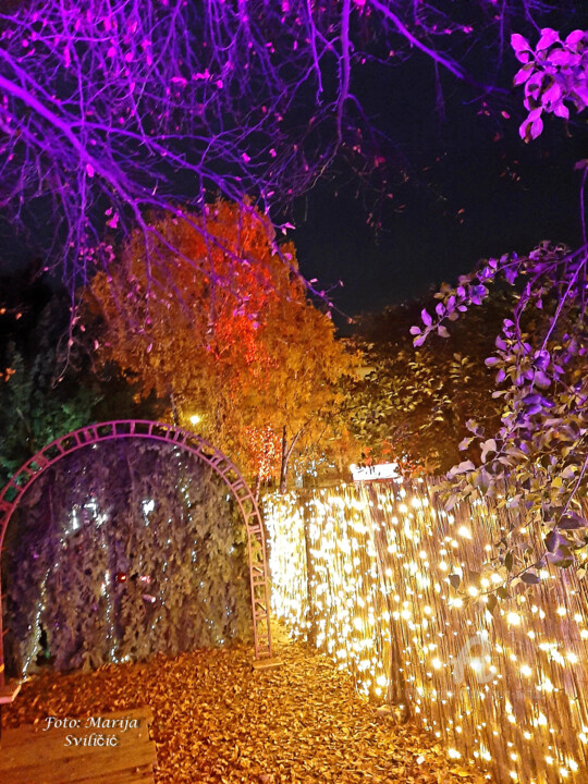 "Photo - A magical m…" başlıklı Fotoğraf Marija Sviličić tarafından, Orijinal sanat, Dijital Fotoğrafçılık