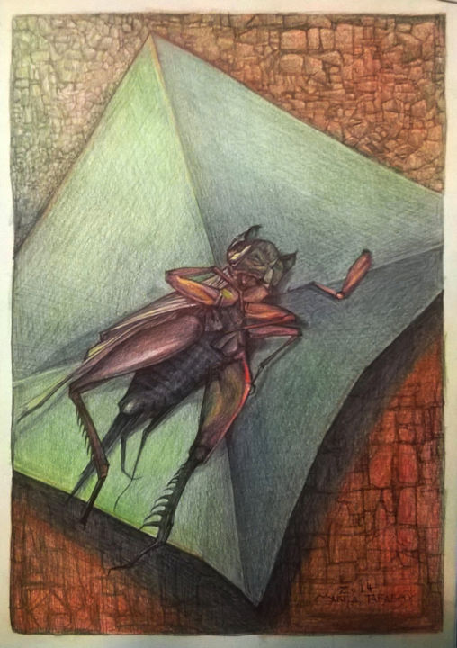 Desenho intitulada "Grillo de la suerte" por Marila Tarabay, Obras de arte originais, Lápis