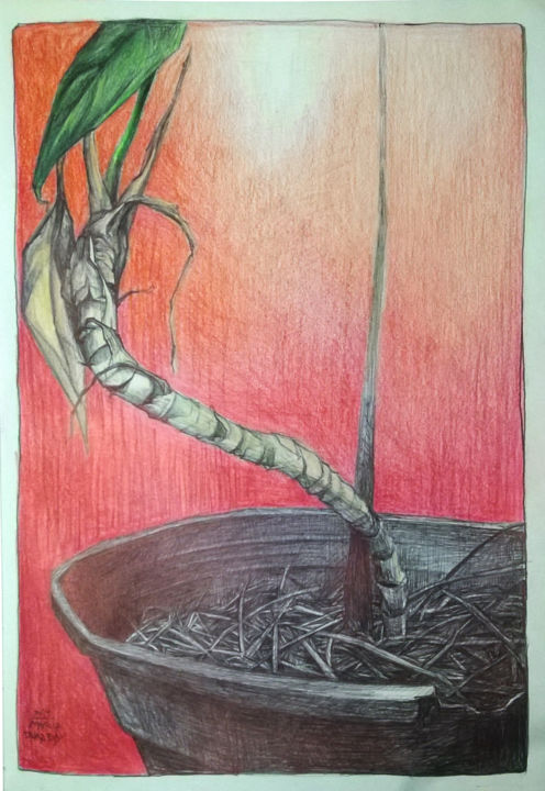Desenho intitulada "Detalle de una colu…" por Marila Tarabay, Obras de arte originais, Lápis