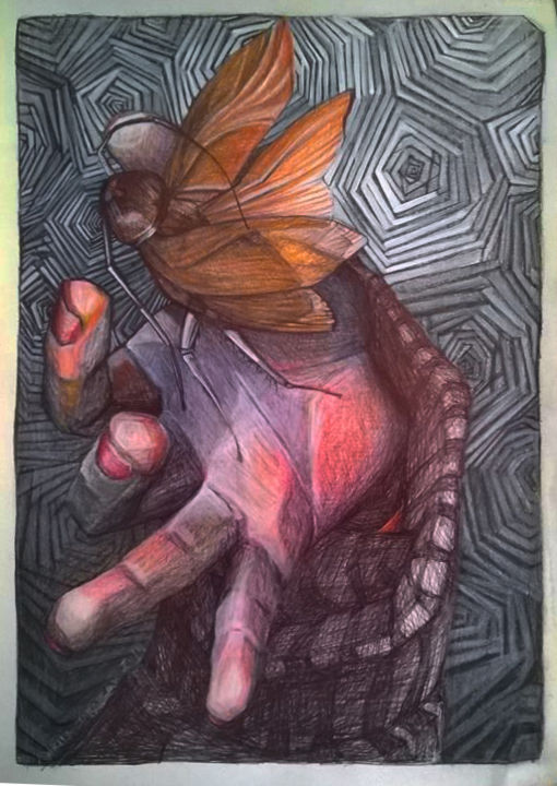 Dessin intitulée "Volar" par Marila Tarabay, Œuvre d'art originale, Crayon