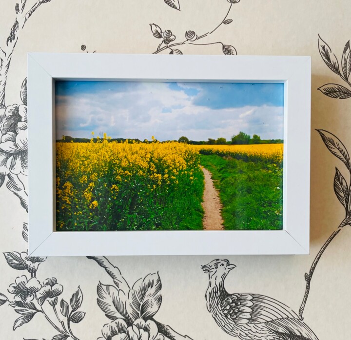 Photographie intitulée "Nature Field" par Marina Black, Œuvre d'art originale, Photographie numérique Monté sur Carton