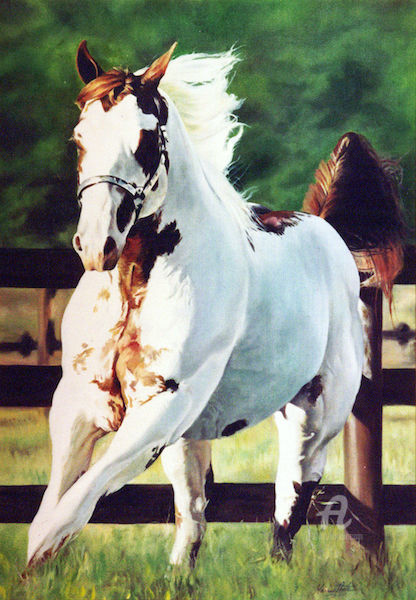 Pintura intitulada "Paint Horse" por Marina Leite, Obras de arte originais, Óleo